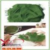 Bột diệp lục Unicity Super Powder Chlorophyll còn hỗ trợ làm lành vết thương nhanh