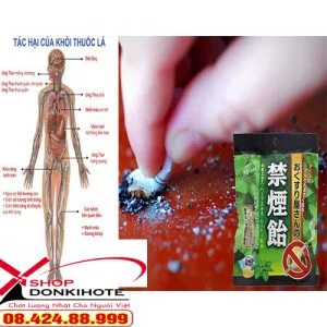 Kẹo cai thuốc lá cà phê Nhật Bản chứa các thảo dược thiên nhiên