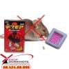 Thuốc DETHMOR Nhật Bản diệt chuột có thể áp dụng cho kể cả loài chuột cống