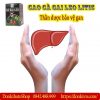 Hỗ trợ điều trị viêm gan bằng Cà gai leo Litic