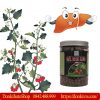 Hỗ trợ chức năng gan với cao cà gai leo Litic