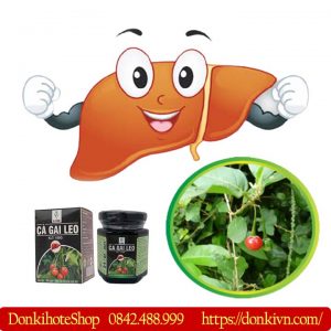 Hạ men gan nhanh chóng với cà gai leo Litic