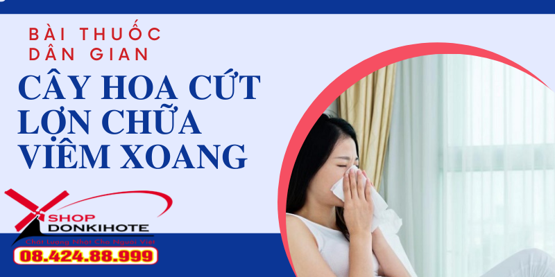 Bài thuốc dân gian chữa bệnh viêm xoang