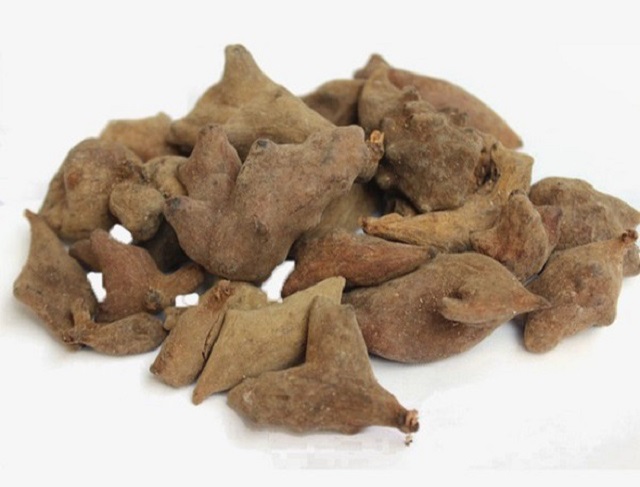 Bài thuốc chữa xuất tinh sớm với ngũ bội tử