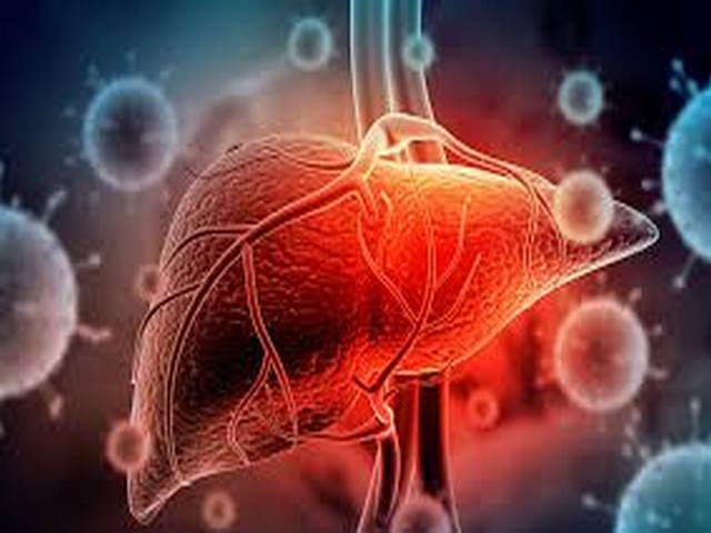 Chọn thời điểm thích hợp để bổ sung thuốc bổ gan