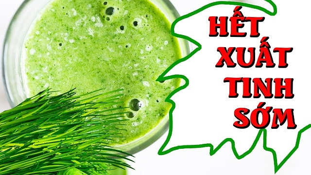 Chữa xuất tinh sớm bằng lá hệ