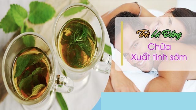 Chữa xuất tinh sớm bằng thuốc nam với lá cây đắng