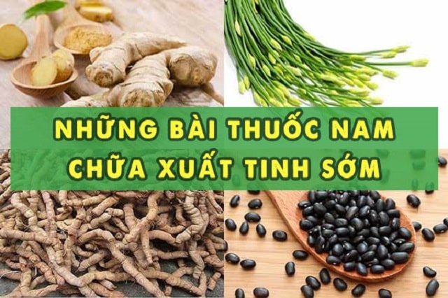 Có những bài thuốc chữa xuất tinh sớm bằng thuốc nam nào hiệu quả?
