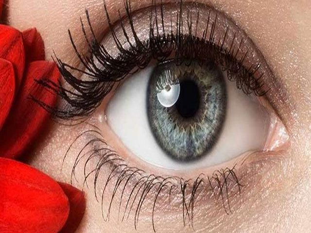 Thuốc bổ mắt không thể thiếu nhóm chất chống oxy hóa