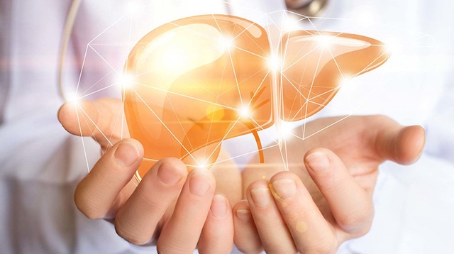 Tìm hiểu gan là gì?