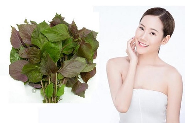 Cách làm trắng da trị nám tại nhà với lá tía tô