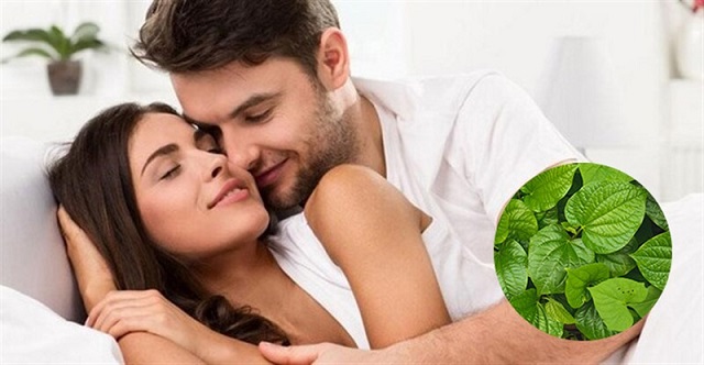 Lá lốt giúp cuộc yêu mặn nồng hơn