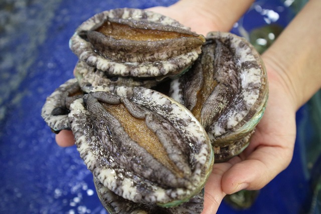 Chấm dứt chứng xuất tinh sớm với thực phẩm bào ngư