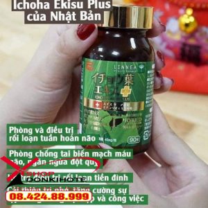 Bổ não của Nhật chiết xuất thành phần cao cấp tự tự nhiên