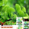 Fine Ginkgo Plus chính hãng Nhật