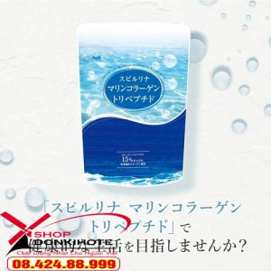 tảo xoắn Spirulina Algae